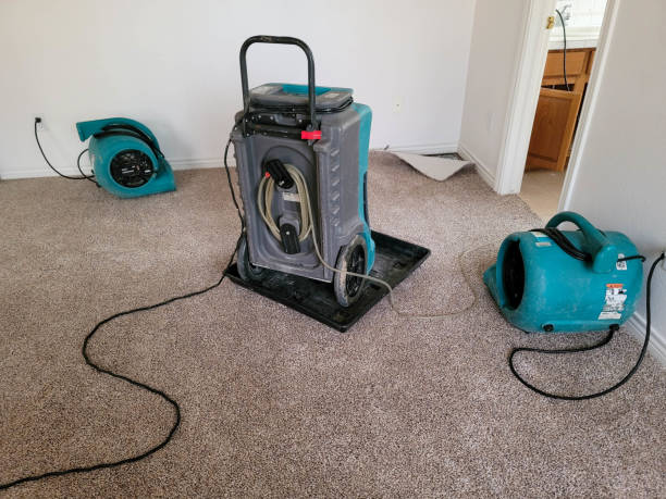 Best Flood restoration services  in Santa Clara, NM