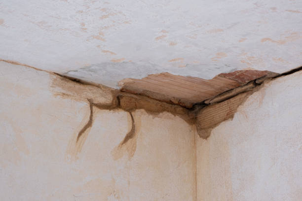 Sewage cleanup and water damage restoration in Santa Clara, NM