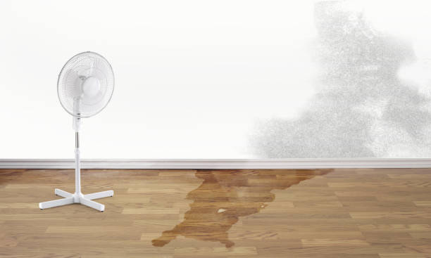 Best Water damage restoration near me  in Santa Clara, NM