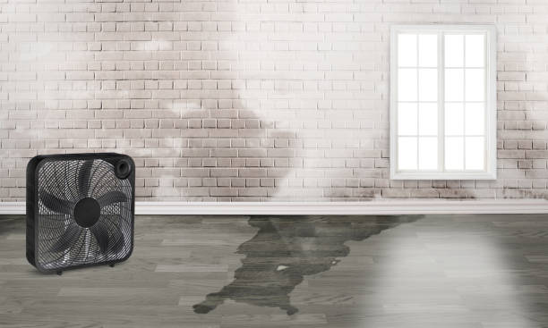 Best Residential water damage restoration  in Santa Clara, NM