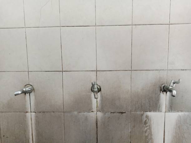 Best Water damage restoration services  in Santa Clara, NM